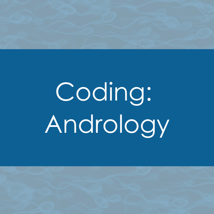 Coding_Andrology_Teaser.png