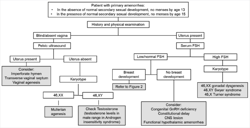 Current Evaluation Of Amenorrhea (2008) | American Society For ...