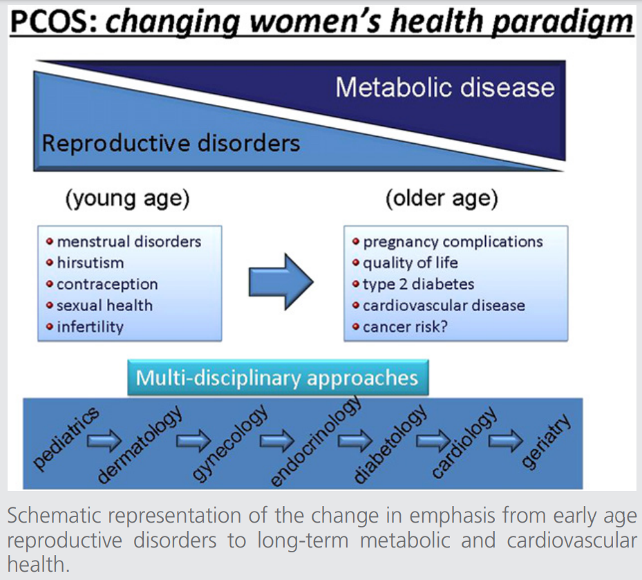 consensus-on-womens-health-aspects-of-polycystic-ovary-syndrome-figure-1.png